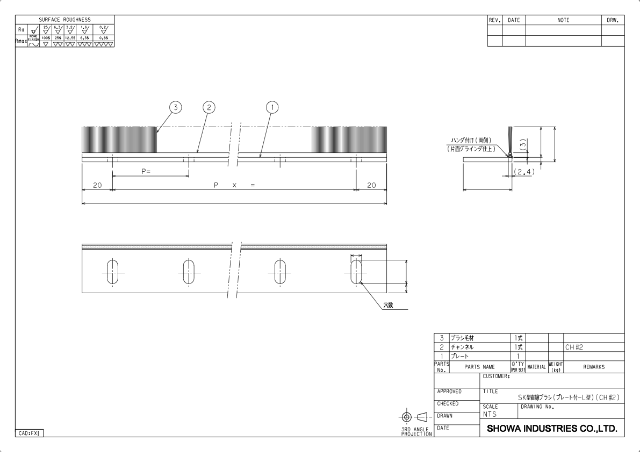 SK Type Strip Brushes (with Plate-L Type)