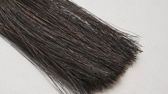 Horsehair